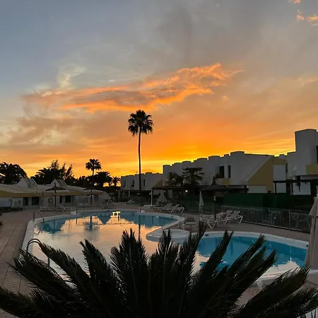 Mariposa * San Bartolome de Tirajana (Gran Canaria)